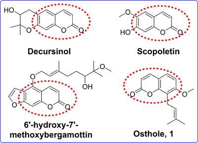 Natural products as sources of acetylcholinesterase inhibitors: Synthesis, biological activities, and molecular docking studies of osthole-based ester derivatives